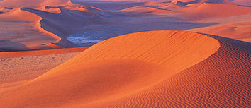 法新社：尼斯队长丹特因膝盖伤势将缺席对阵大巴黎的比赛，丹尼斯对战德文