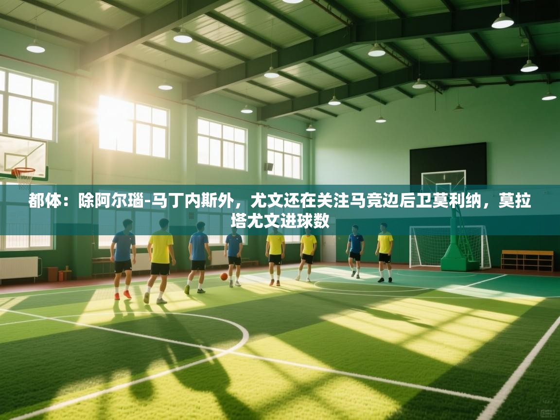 都体:除阿尔瑙-马丁内斯外,尤文还在关注马竞边后卫莫利纳,莫拉塔尤文进球数 第1张