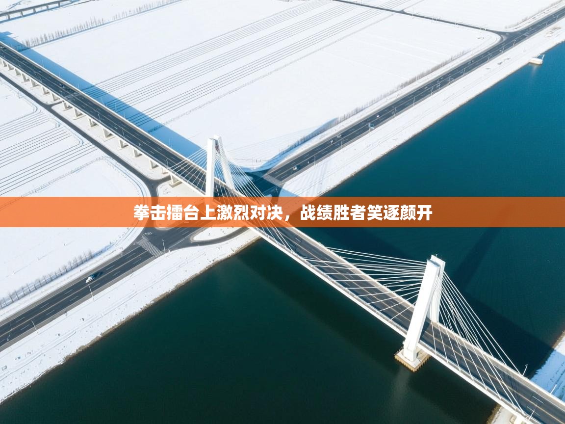 拳击擂台上激烈对决,战绩胜者笑逐颜开 第1张