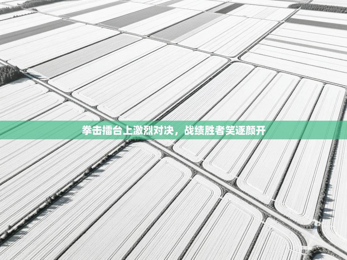 拳击擂台上激烈对决,战绩胜者笑逐颜开 第2张