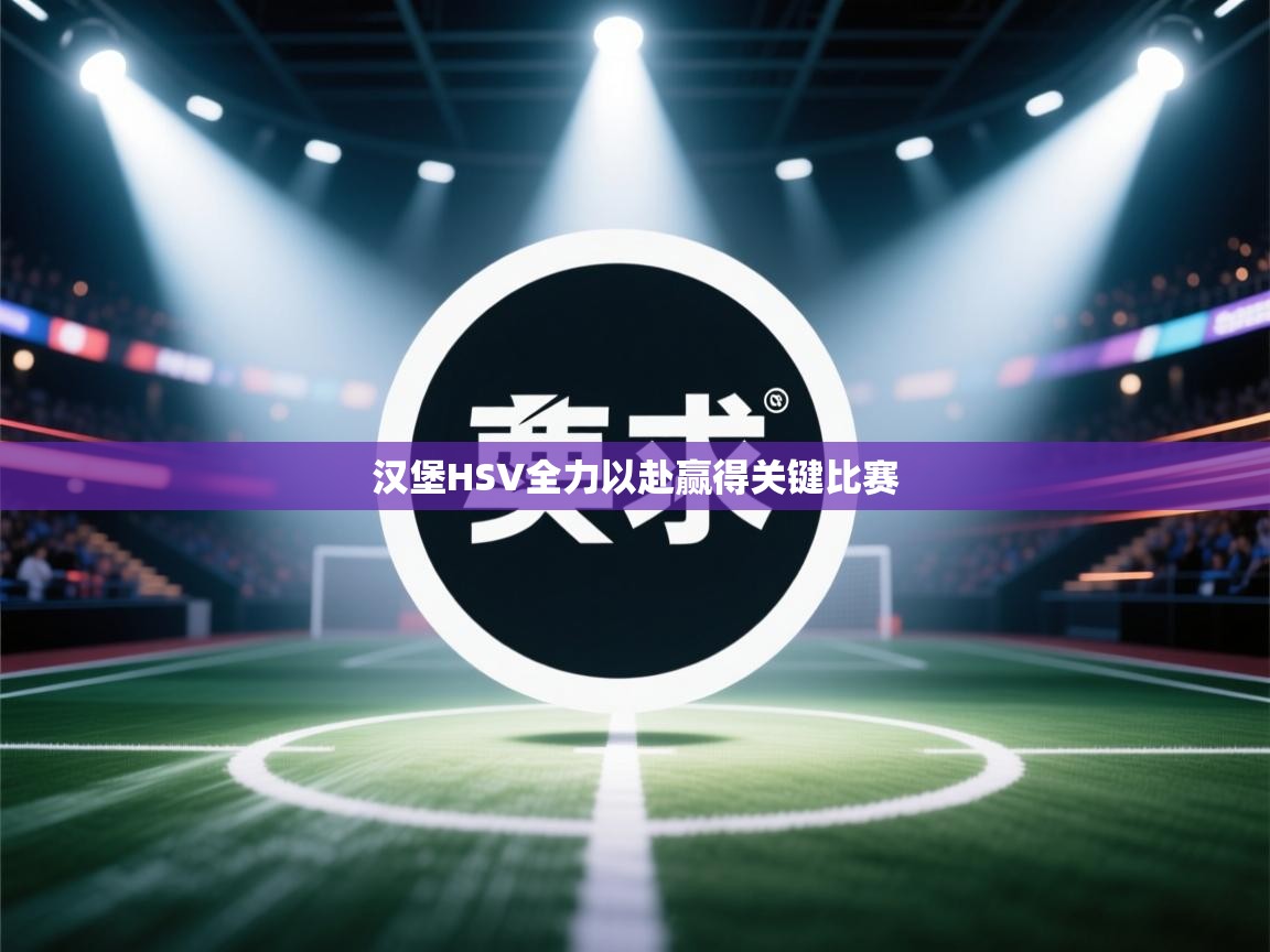 汉堡HSV全力以赴赢得关键比赛  第1张