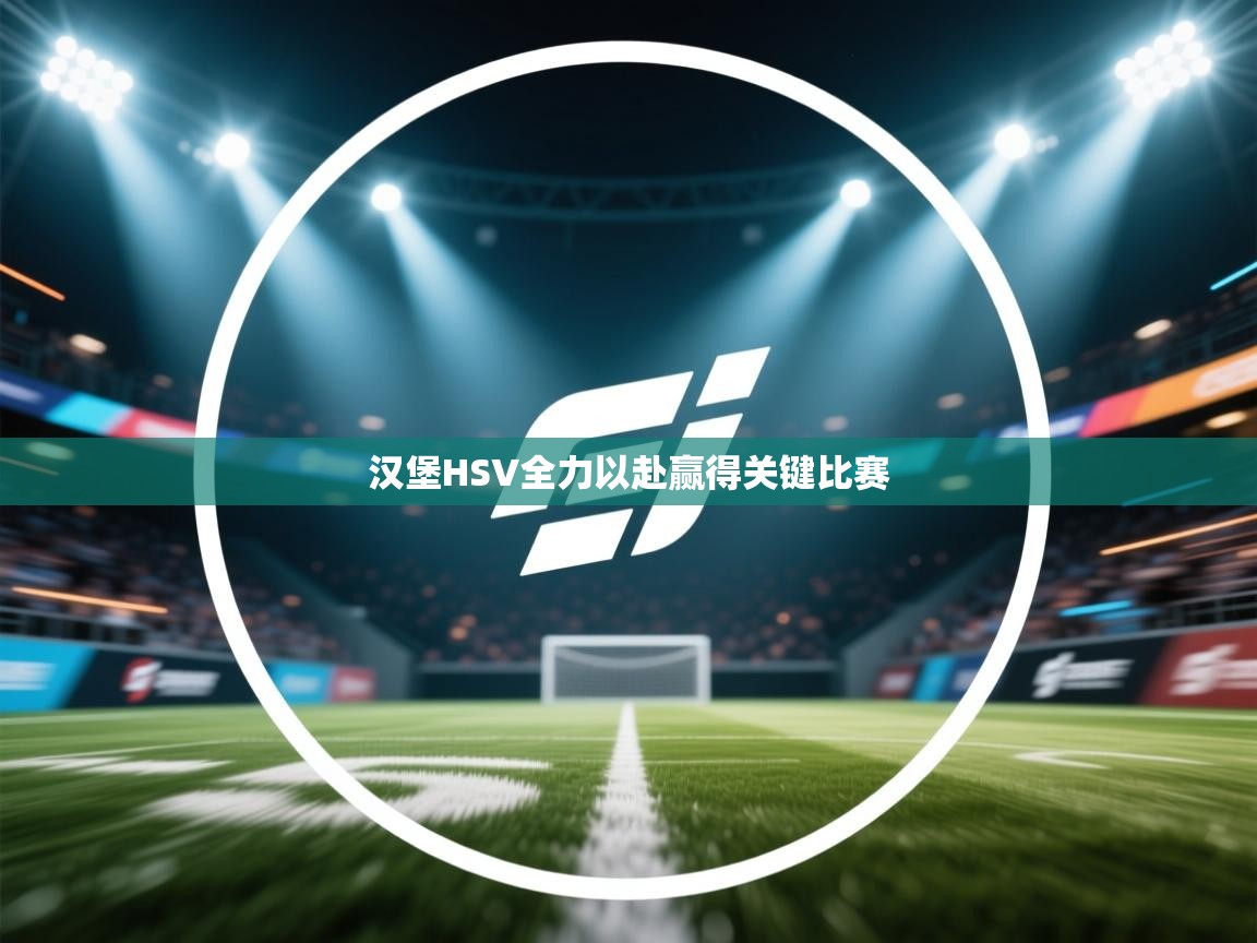 汉堡HSV全力以赴赢得关键比赛  第2张