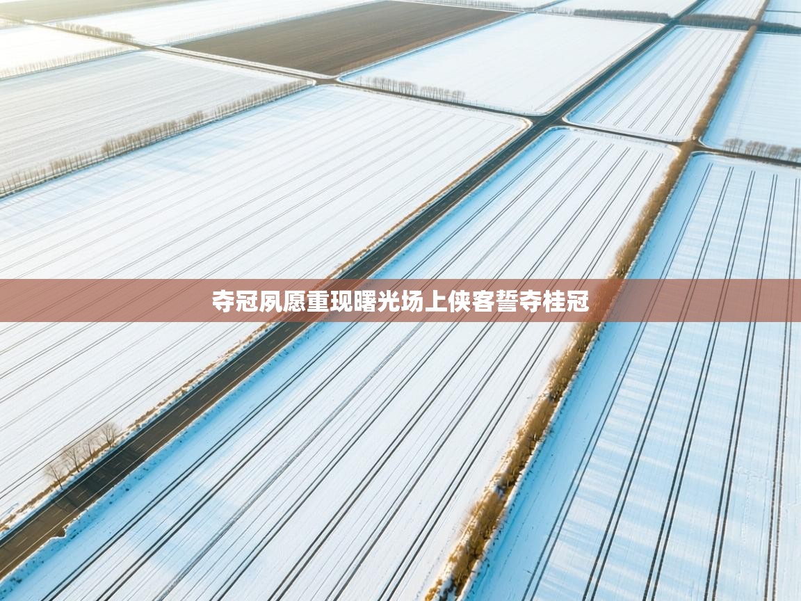 夺冠夙愿重现曙光场上侠客誓夺桂冠  第1张