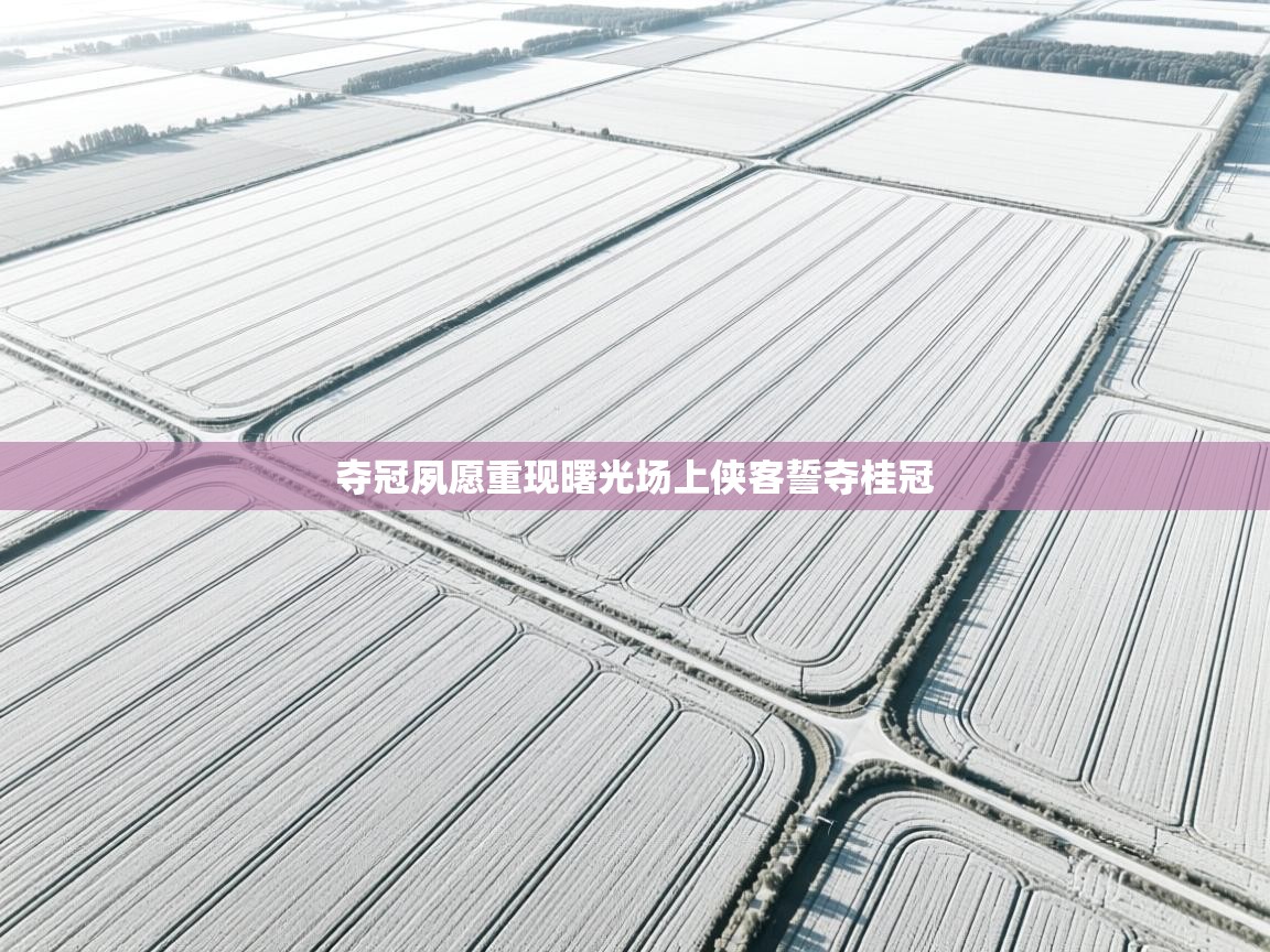 夺冠夙愿重现曙光场上侠客誓夺桂冠  第2张